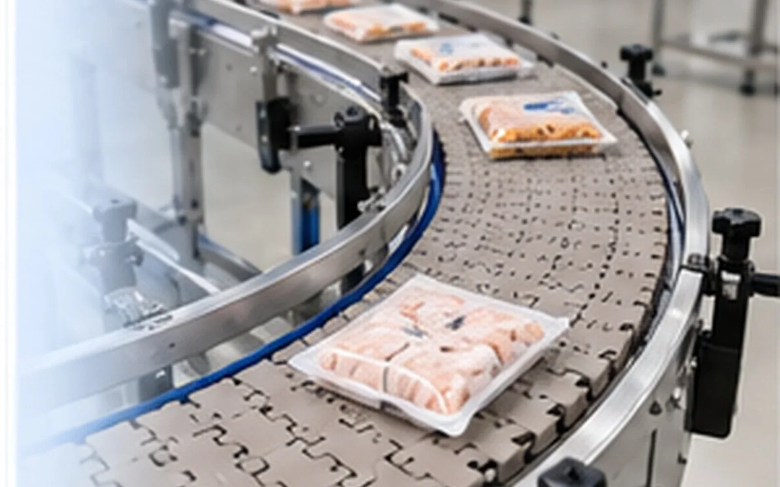 Application conveyor detail