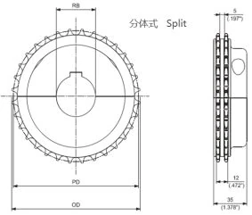 Sprocket Selection for Plastic Modular Belts supporting visual